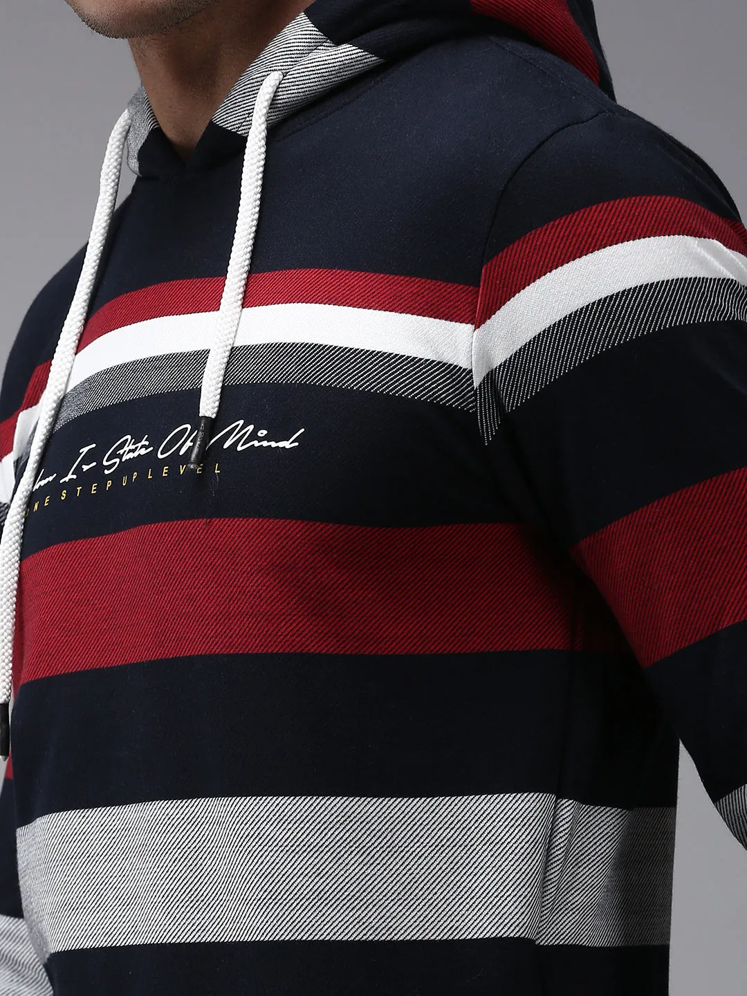 Men Blue Striped Sweatshirt